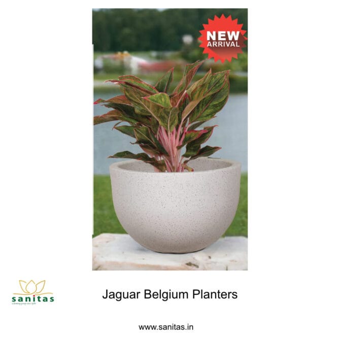 Introducing the Ideal 16-Inch Belgium Planter for Your Garden Needs