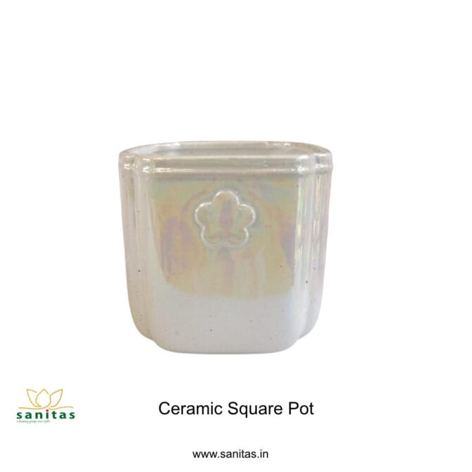 Ceramic Pots 4 Inch  Pot || Imported Pot BQC-1694