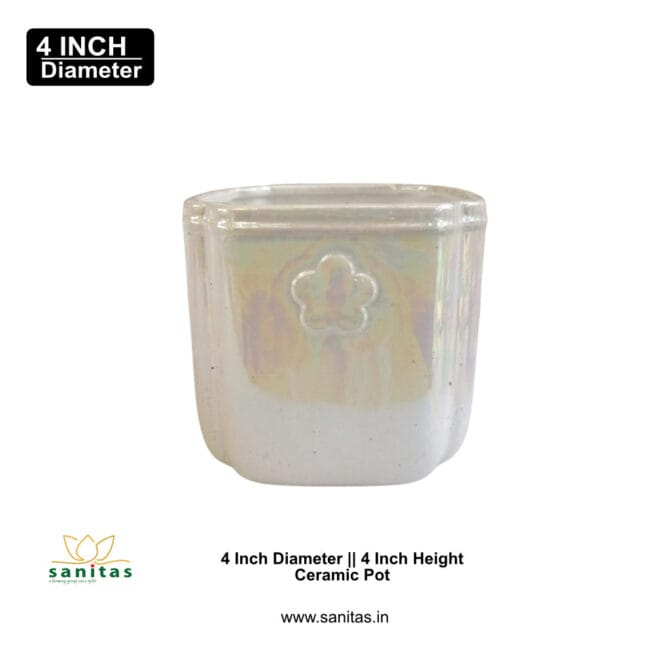 Ceramic Pots 4 Inch  Pot || Imported Pot BQC-1694 - Image 2