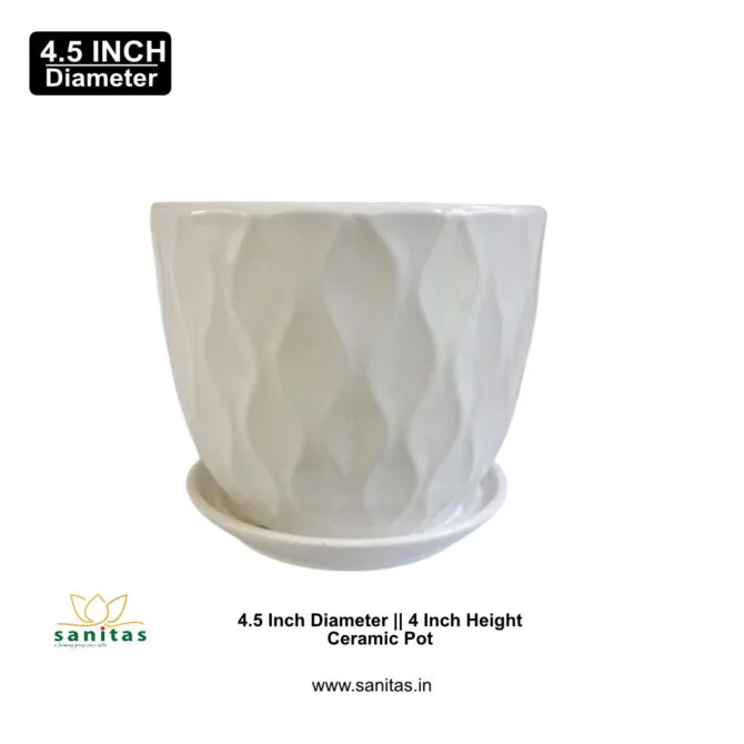 Ceramic Pots 4.5 Inch  Pot || Imported  Pot BCQ-1709 - Image 2