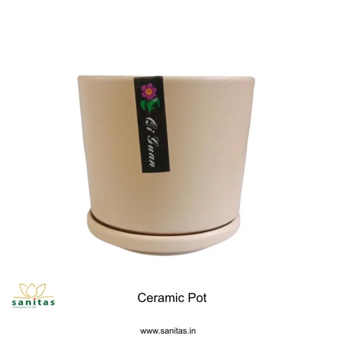 Ceramic Pots 4 Inch Colour Pot || Imported Pot BQC-1501