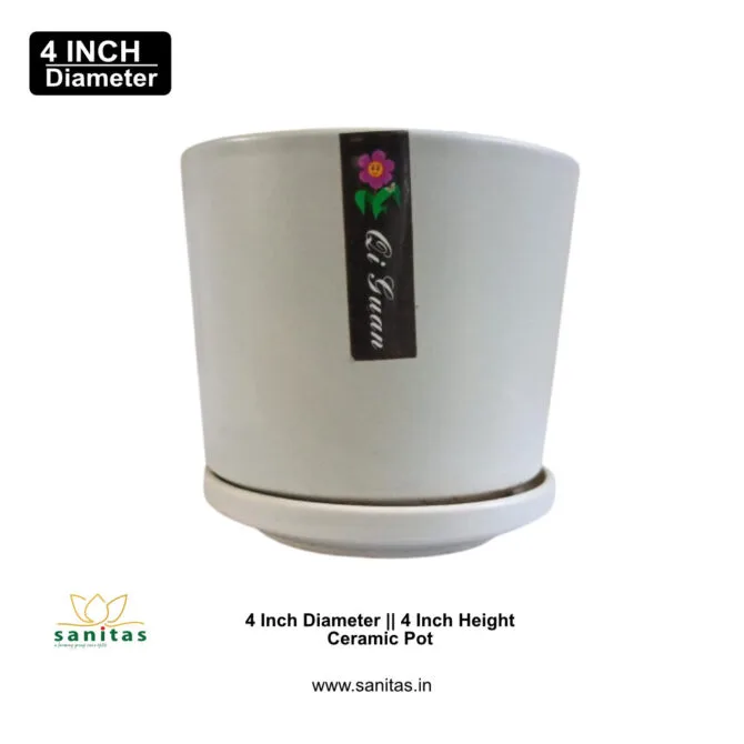 Ceramic Pots 4 Inch Colour Pot || Imported Pot BQC-1501 - Image 3