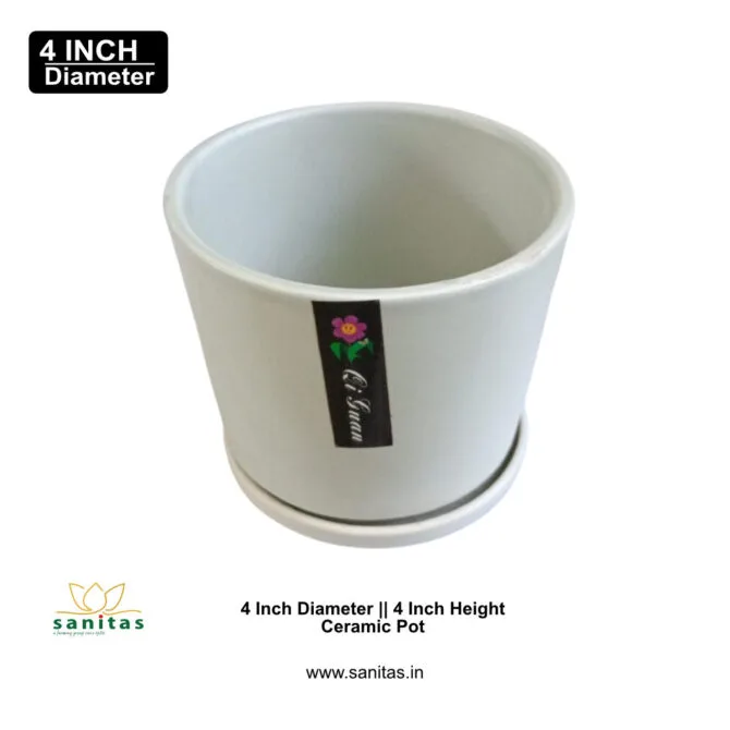 Ceramic Pots 4 Inch Colour Pot || Imported Pot BQC-1501 - Image 4