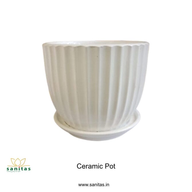 Ceramic Pots 5 Inch  Pot || Imported Pot BQC-1510