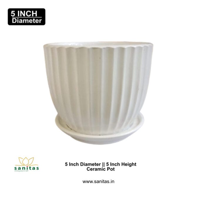 Ceramic Pots 5 Inch  Pot || Imported Pot BQC-1510 - Image 2