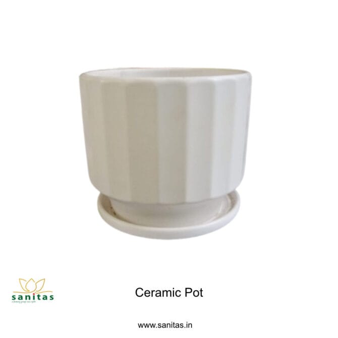 Ceramic Pots 5 Inch  Pot || Imported Pot BQC-1010