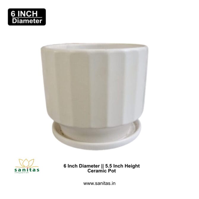 Ceramic Pots 5 Inch  Pot || Imported Pot BQC-1010 - Image 2