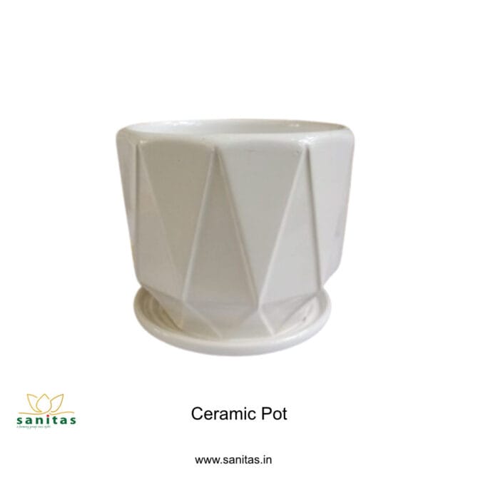 Ceramic Pots 5 Inch  Pot || Imported Pot BQC-1465