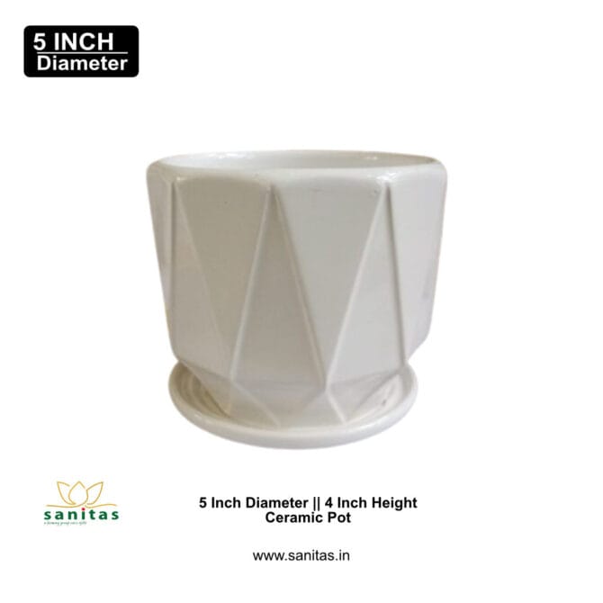 Ceramic Pots 5 Inch  Pot || Imported Pot BQC-1465 - Image 2