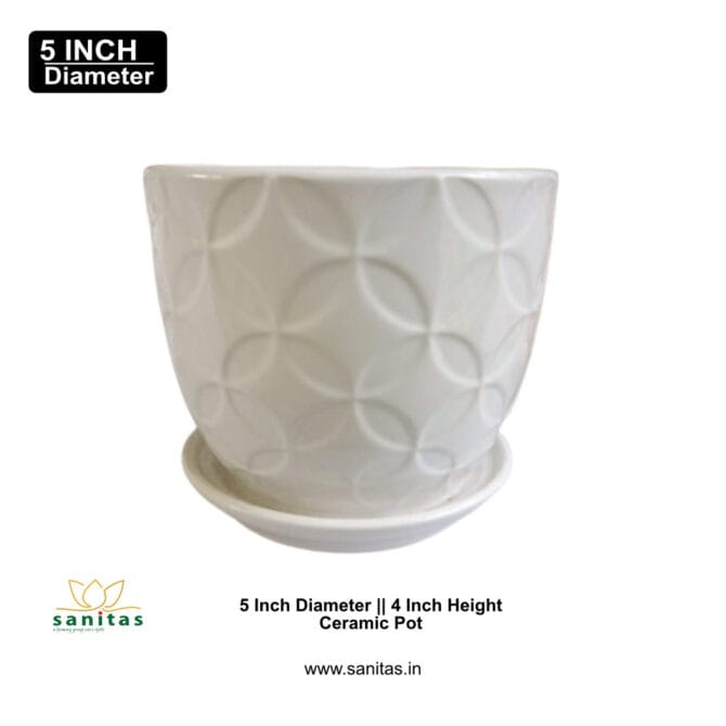 Ceramic Pots 5 Inch  Pot || Imported Pot BQC-1659 - Image 2