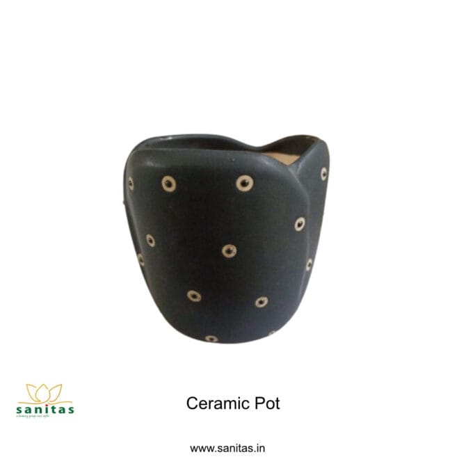 Ceramic Pots 4 Inch Black With Spot