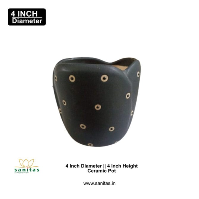 Ceramic Pots 4 Inch Black With Spot - Image 2