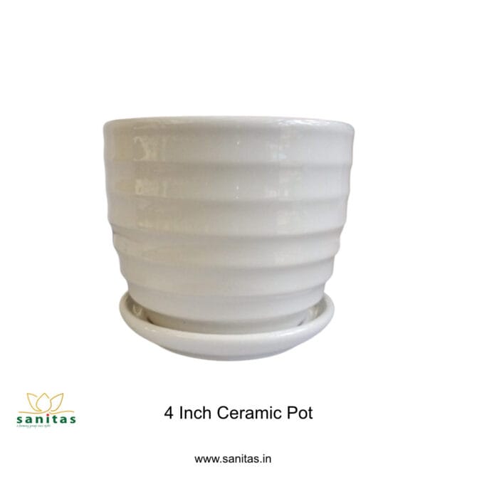 Ceramic Pots 4.5 Inch  Pot || Imported Pot BQC-1247