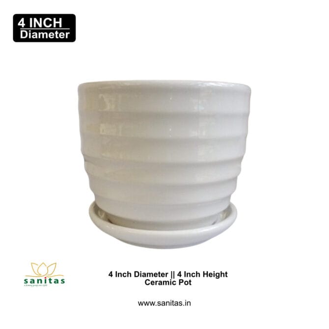 Ceramic Pots 4.5 Inch  Pot || Imported Pot BQC-1247 - Image 2