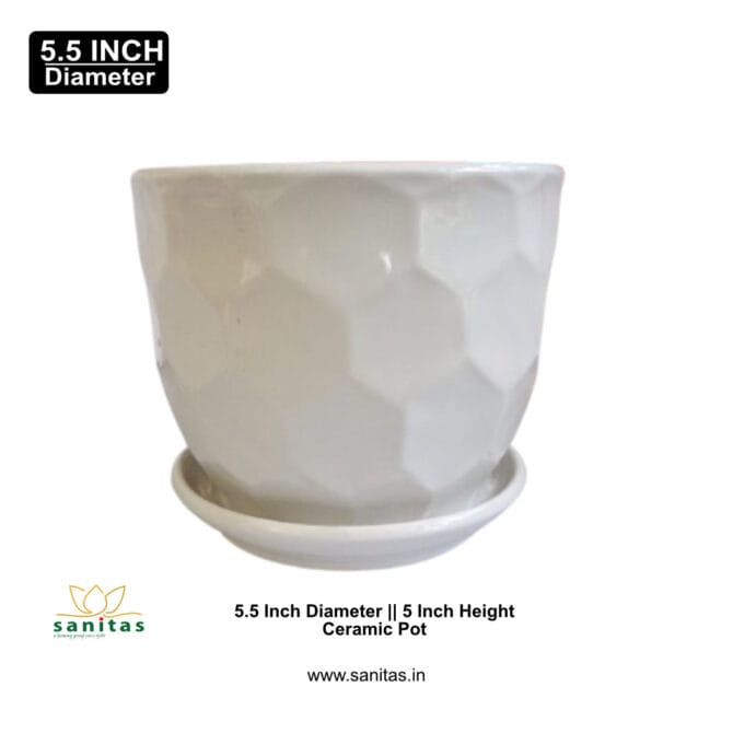 Ceramic Pots 4.5 Inch  Pot || Imported Pot BQC-1511 - Image 2