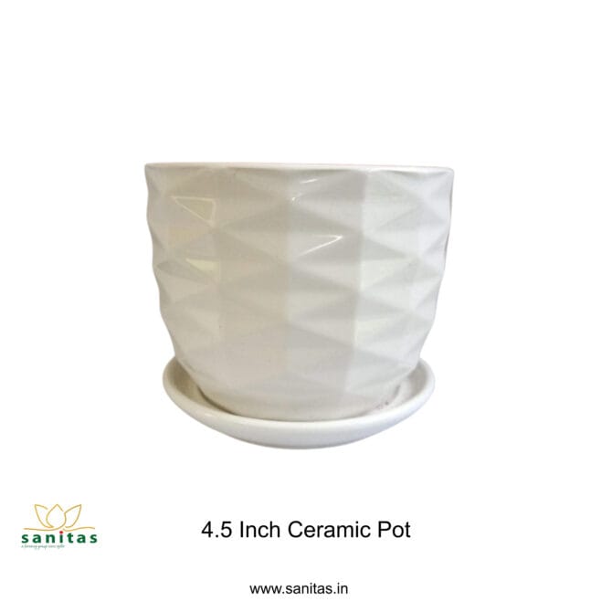 Ceramic Pots 4.5 Inch  Pot || Imported Pot BQC-1613