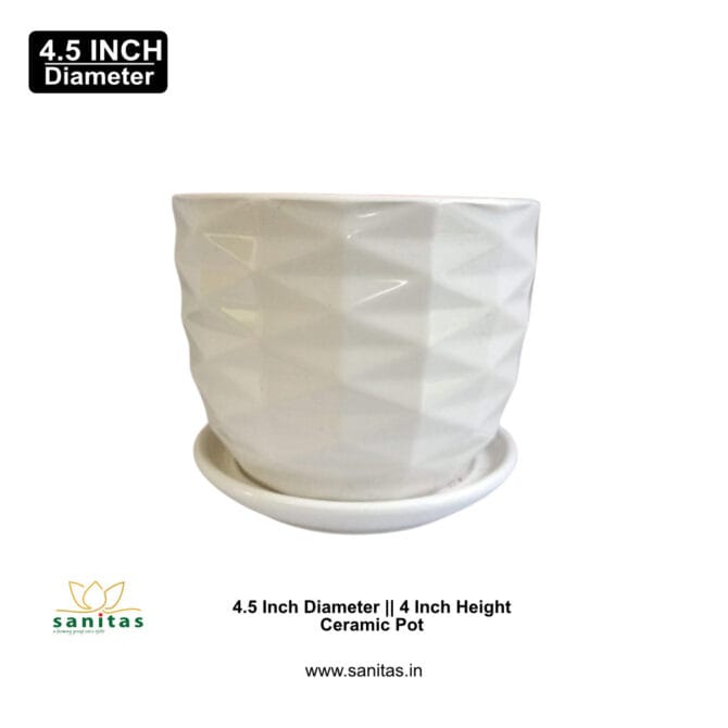 Ceramic Pots 4.5 Inch  Pot || Imported Pot BQC-1613 - Image 2