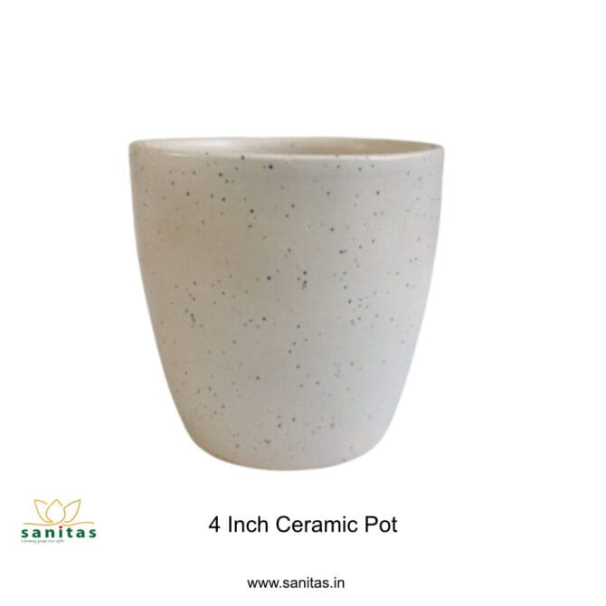 Ceramic Pots 4 Inch Texture Cup