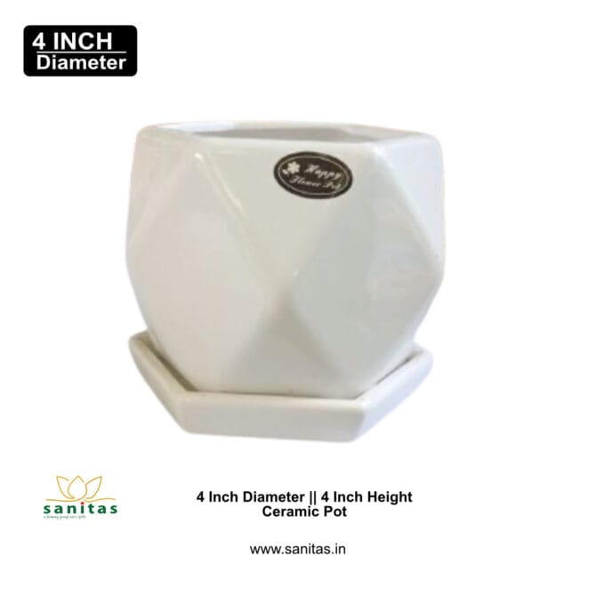 Ceramic Pots 4 Inch  Pot || Imported Pot BQC-1699 - Image 2