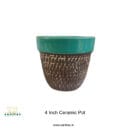 #Decorative pots for online purchase