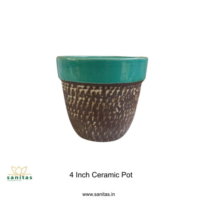 #Decorative pots for online purchase