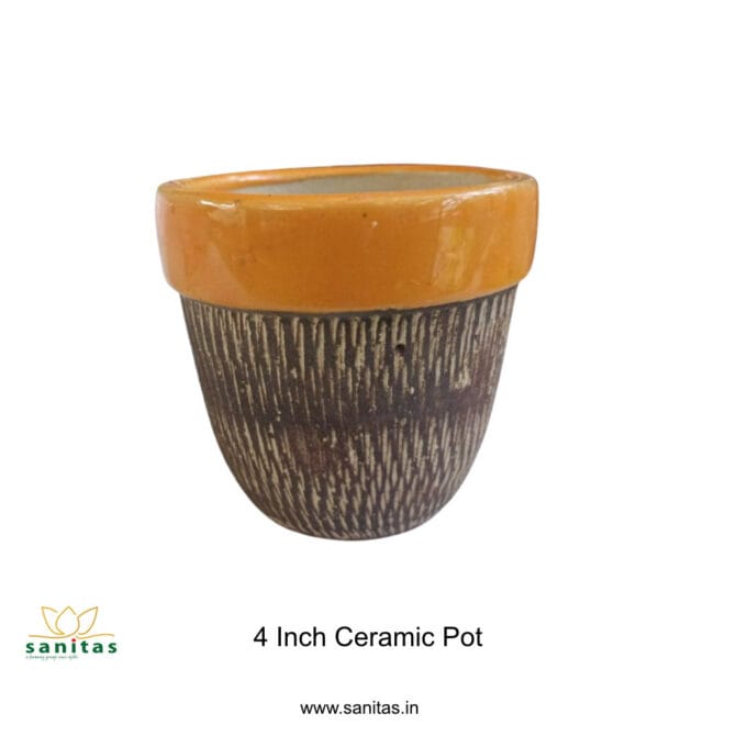 Ceramic Pots 4 Inch With Texture || Multi Colour - Image 7