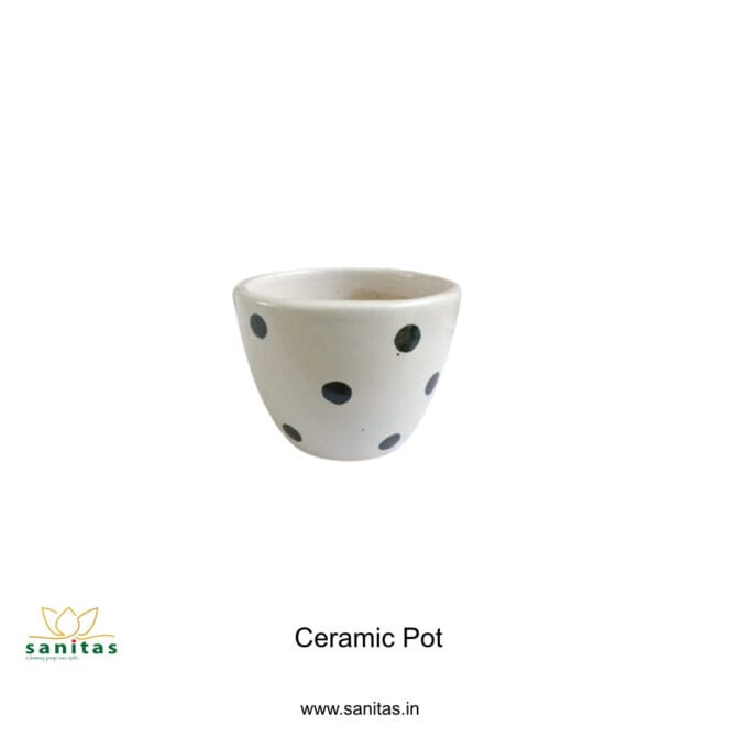 Ceramic Pots 3.5 Inch With Black Spot