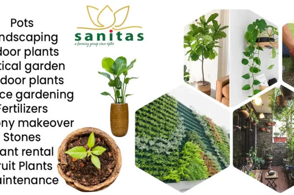 Indoor plants Outdoor plants