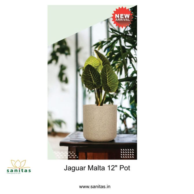 Discover the Versatile Jaguar Malta Pot: A 12-Inch Rotomold Solution-With Out Tray