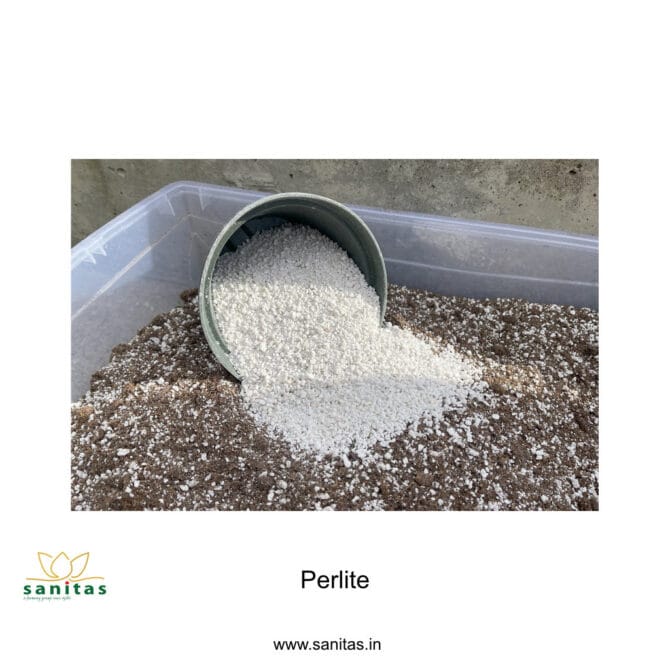 Discover the Benefits of Perlite for Your Gardening Needs