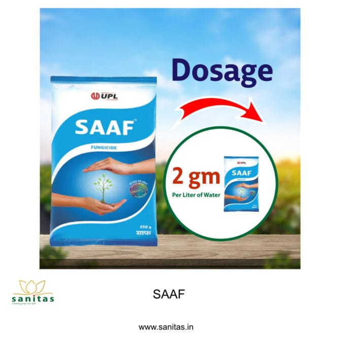 Saaf Fungicide: Effective Protection for Your Crops