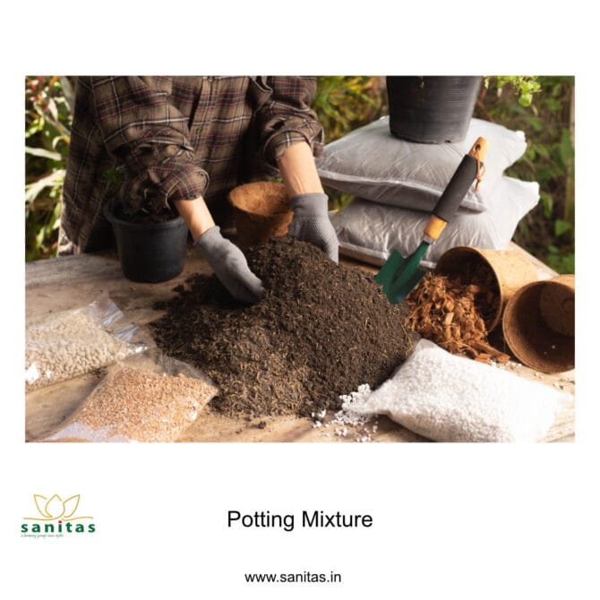 Premium Potting Mixture for Healthy Plants