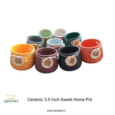 Transform Your Space with Stylish Ceramic Planters || 3.5 Inch Imported