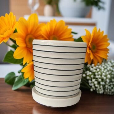 Elegant Ceramic Planters-4 Inch * 4.2 Inch Pot || CBC283