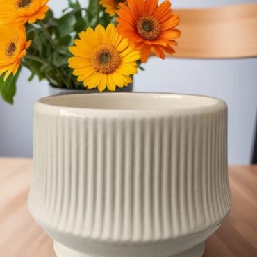 Elegant Ceramic Planters-5 Inch *4.5 Inch Pot ||CBC365