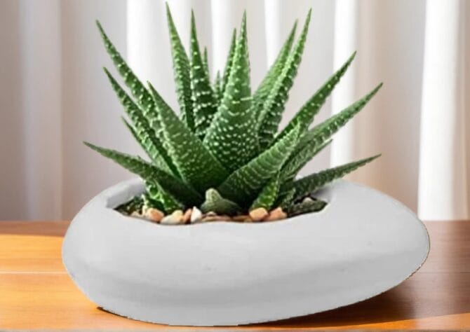 Elevate Your Décor with the Pebble Pot- 12 Inch White Fresh