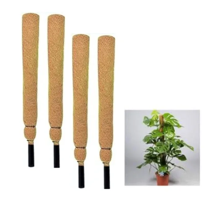 Discover the Perfect Support for Your Climbing Plants with Coir Plant Pole