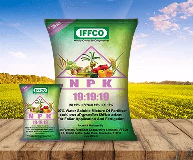 Enhance Your Garden's Productivity With IFFCO 19:19:19 Fertilizer 1KG